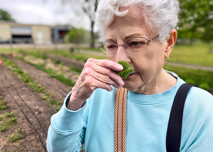 Senior resident gently smells a fresh green leaf while visiting Firefly Farm, enjoying a sensory moment in nature surrounded by garden rows.